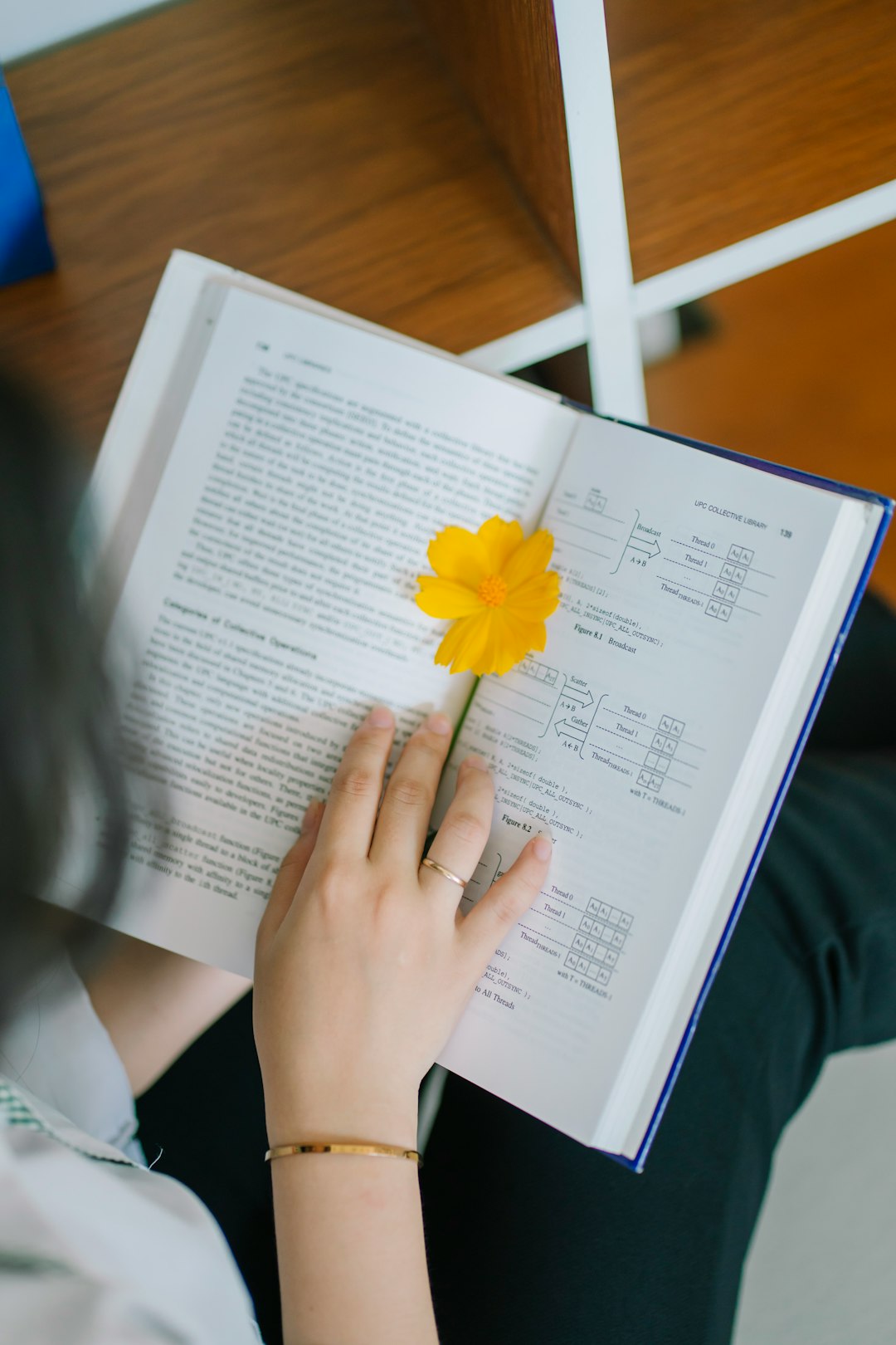 a-person-holding-a-book-qjslyxg-vkc